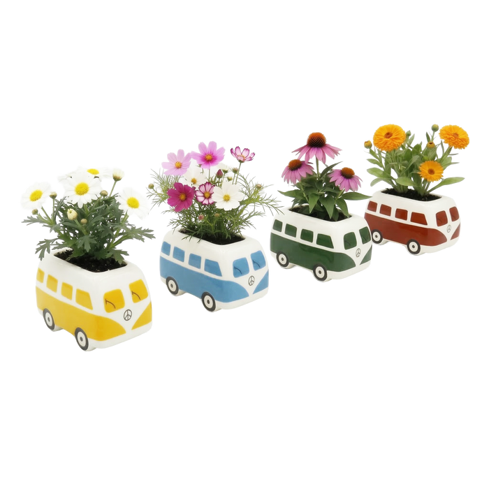 Hippie Bus Flower Grow Kit | Cosmos, Daisy, Coneflower, Calendula (Set of 4)