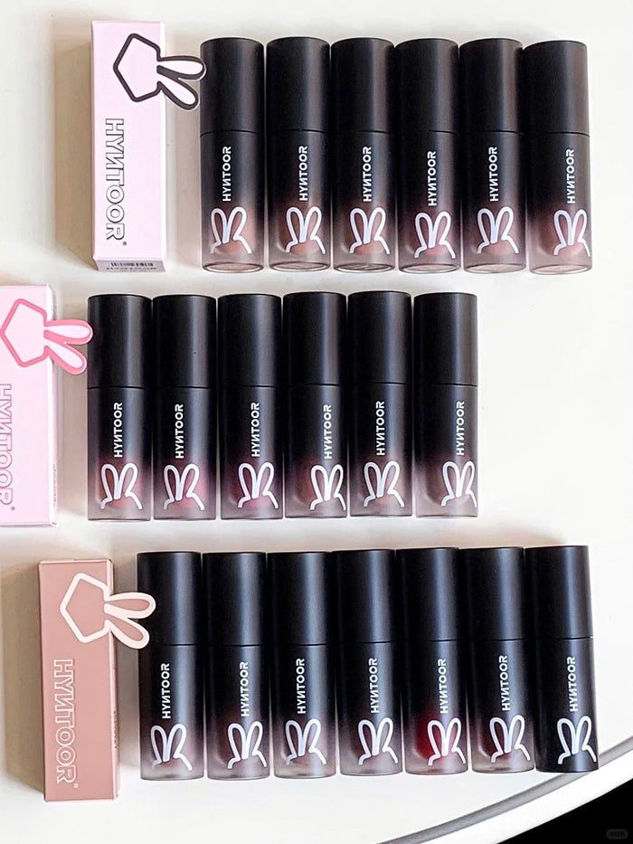 HYNTOOR Velvet Matte Lip Mud #101 Purple Coffee T5214