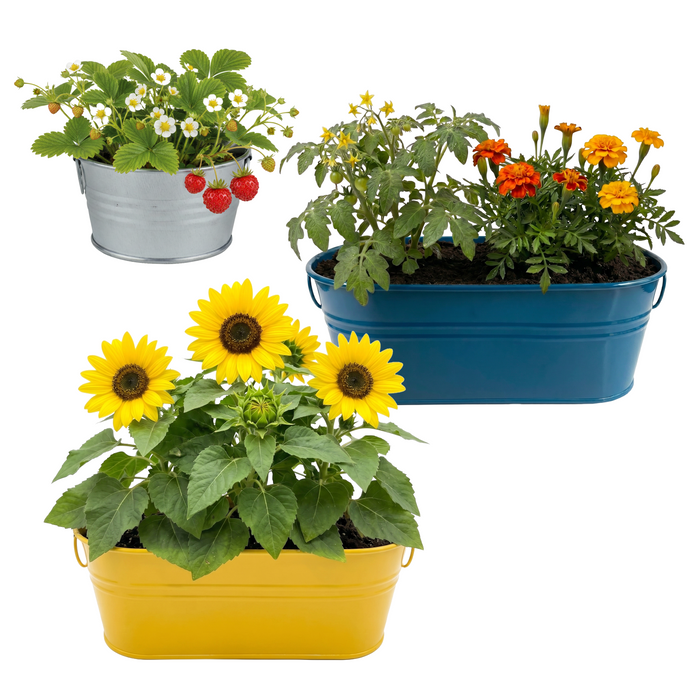 Kids Gardening Bundle | Flower and Fruit Kits