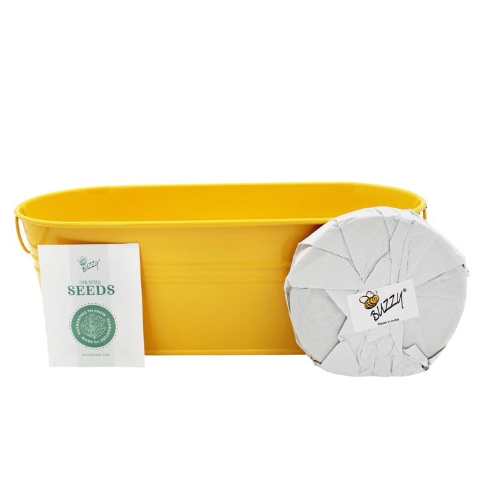 Kids Gardening Bundle | Flower and Fruit Kits