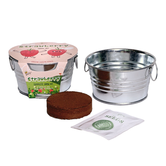 Kids Gardening Bundle | Flower and Fruit Kits