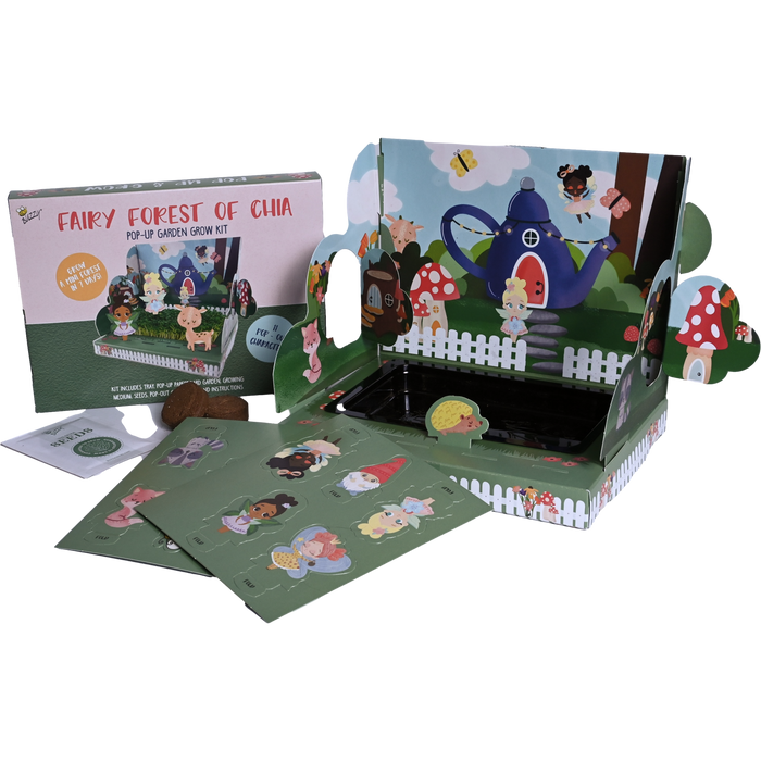 Kids Interactive Chia Grow Kit | Fairy & Woodland Characters