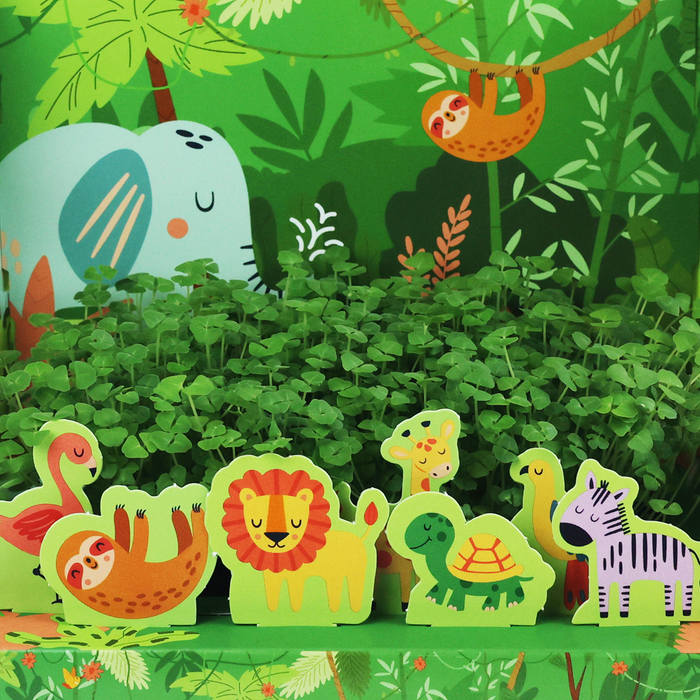 Kids Interactive Chia Grow Kit | Jungle Characters