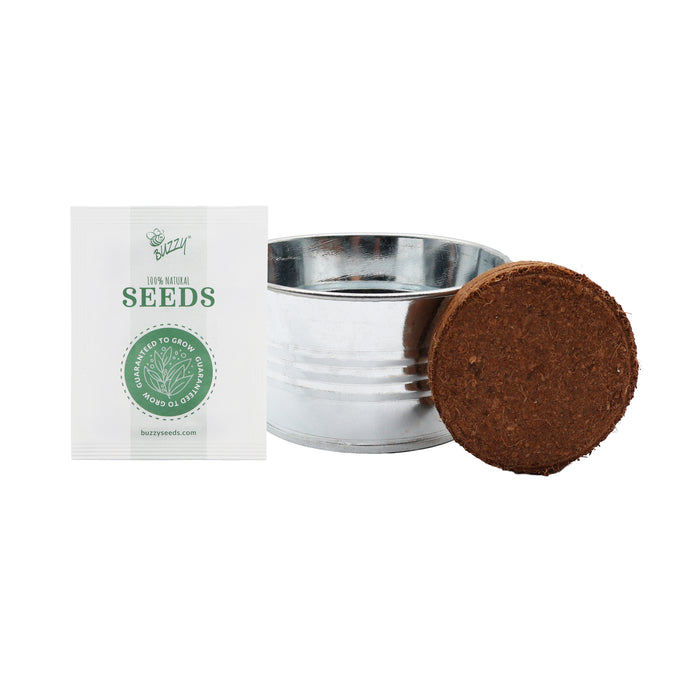 Kids Mini Basin Grow Kit | Alpine Strawberry (3-Pack)