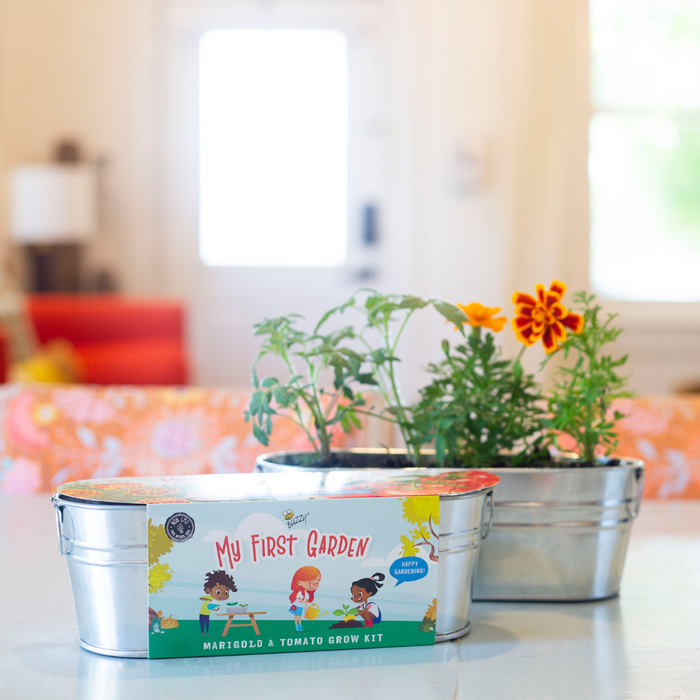 Kids My First Garden Grow Kit | Tomato & Marigold