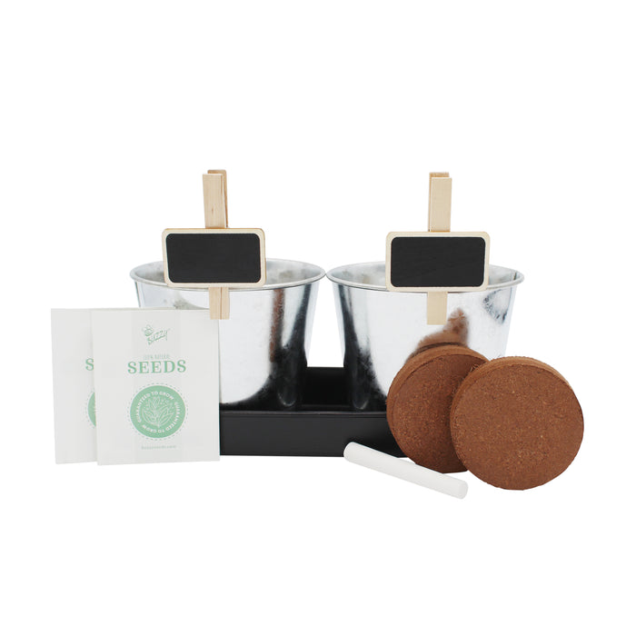 Kids My First Garden Grow Kit | Tomato & Sunflower (2 Pots with Tray)