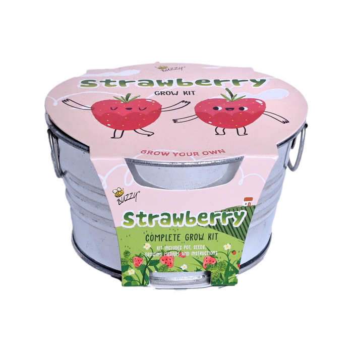 Kids Strawberry Grow Kit | Mini Galvanized Basin