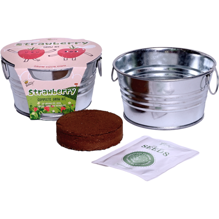 Kids Strawberry Grow Kit | Mini Galvanized Basin