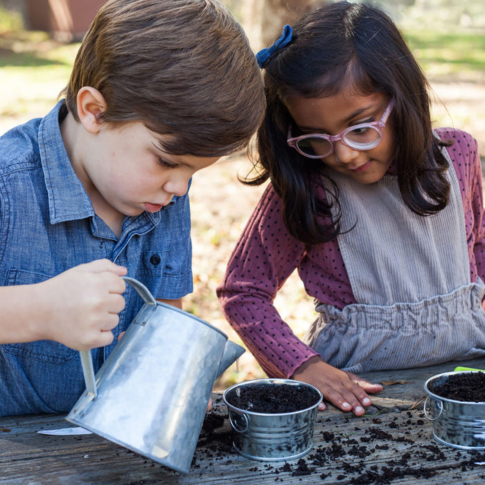 Kids Strawberry Grow Kit | Mini Galvanized Basin