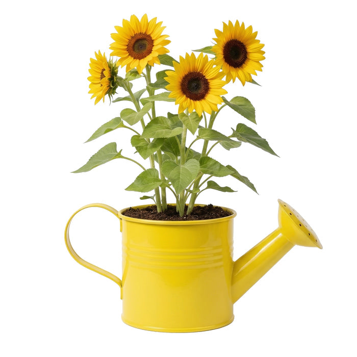 Kids Watering Can Sunflower Grow Kit