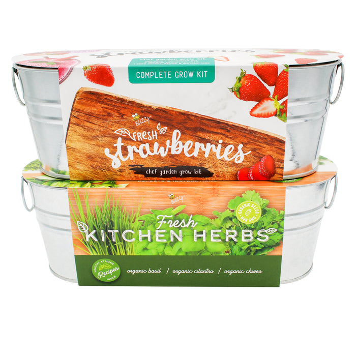 Kitchen Herb & Strawberry Grow Kit | Windowsill Planter (2 Pack)