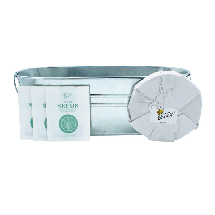 Kitchen Herb & Strawberry Grow Kit | Windowsill Planter (2 Pack)