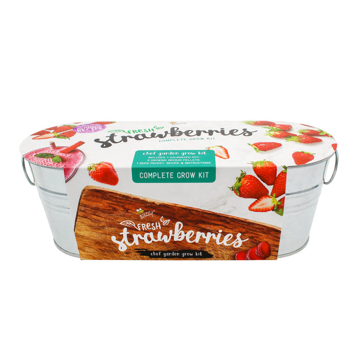 Kitchen Herb & Strawberry Grow Kit | Windowsill Planter (2 Pack)