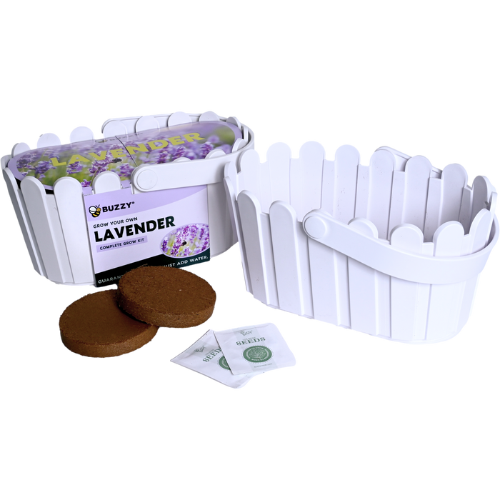 Lavender Grow Kit | White Basket Planter