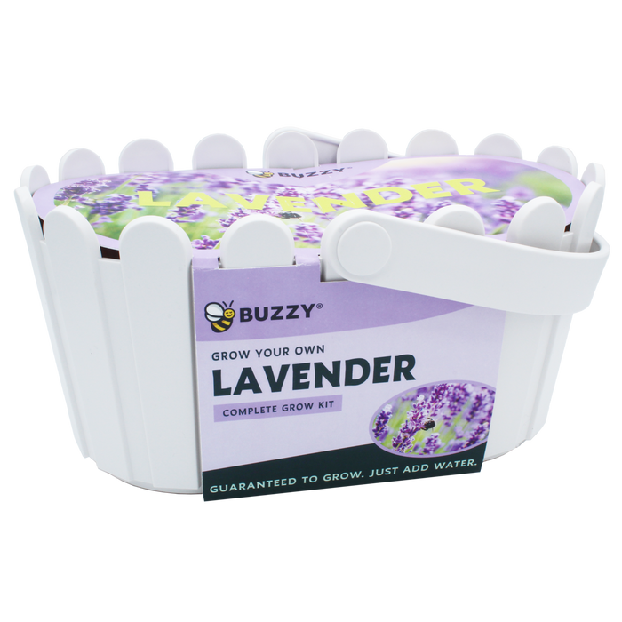 Lavender Grow Kit | White Basket Planter