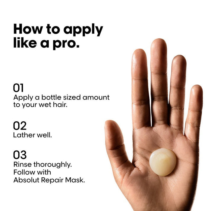 L'Oréal Professionnel Absolut Repair Shampoo For Dry and Damaged Hair With Protein & Omega-9 (300ml)