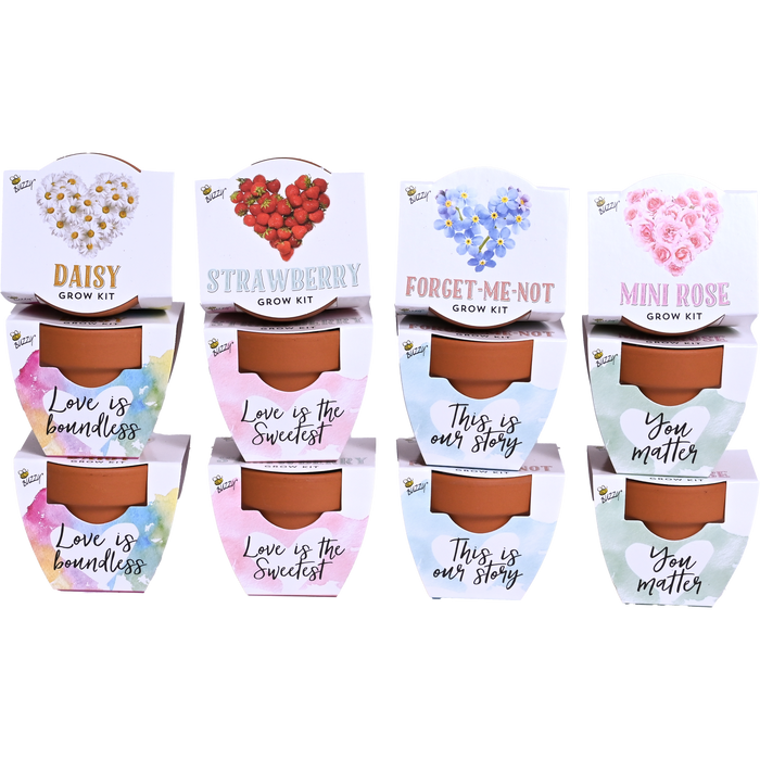 Love Mini Terracotta Pots | Assorted (12 Pack)