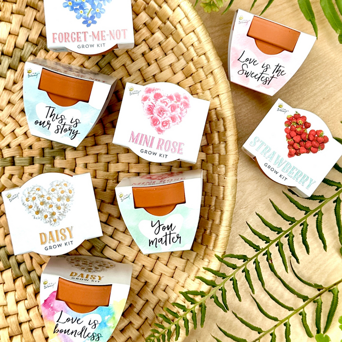 Love Mini Terracotta Pots | Assorted (12 Pack)