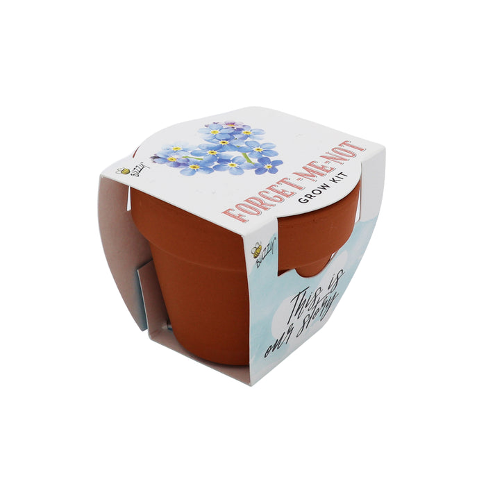 Love Mini Terracotta Pots | Forget-Me-Not (12 Pack)