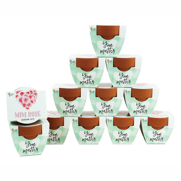Love Mini Terracotta Pots | Mini Rose (12 Pack)