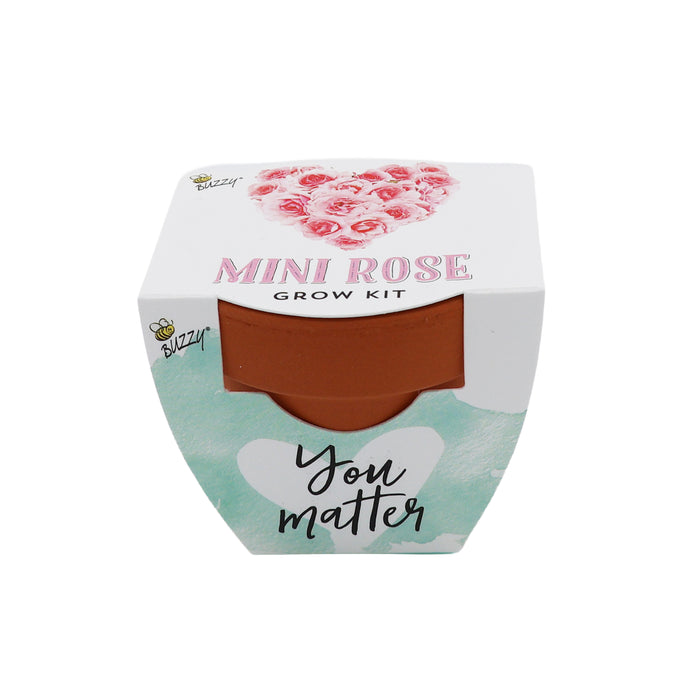 Love Mini Terracotta Pots | Mini Rose (12 Pack)
