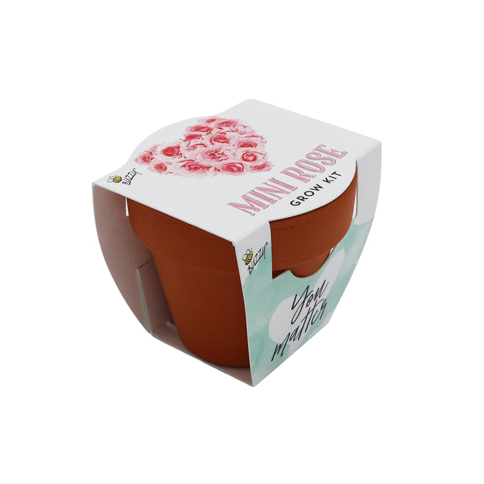 Love Mini Terracotta Pots | Mini Rose (12 Pack)