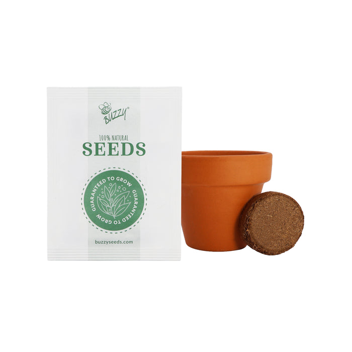 Love Mini Terracotta Pots | Strawberry (12 Pack)