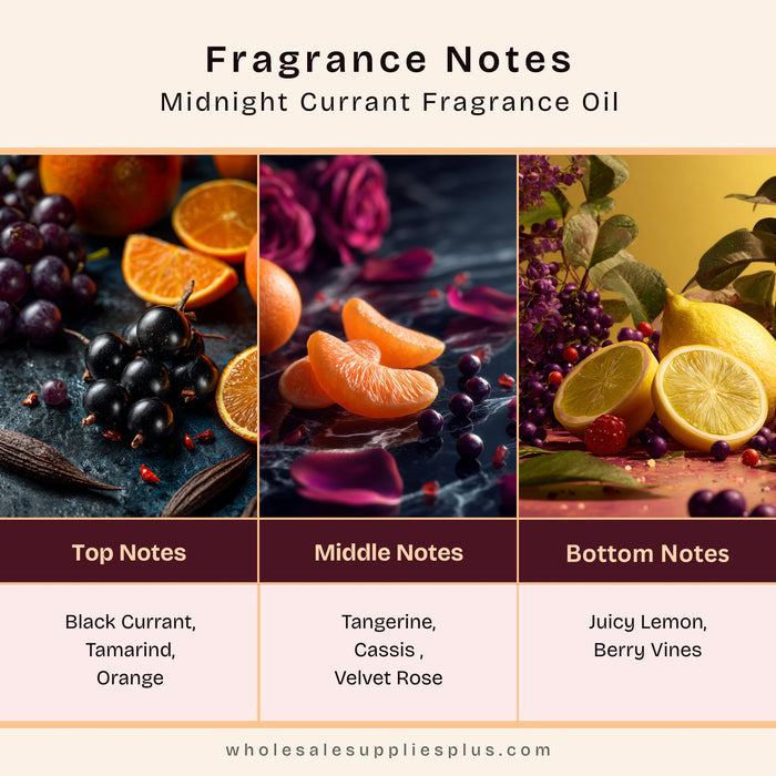 Midnight Currant Fragrance Oil