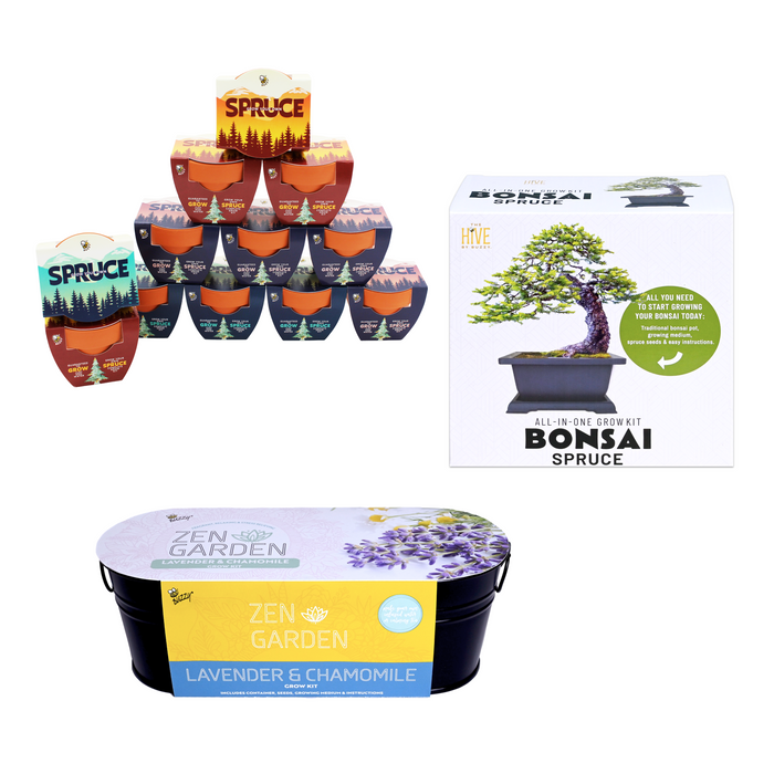 Mindfulness Bundle | Bonsai & Zen Garden Kits