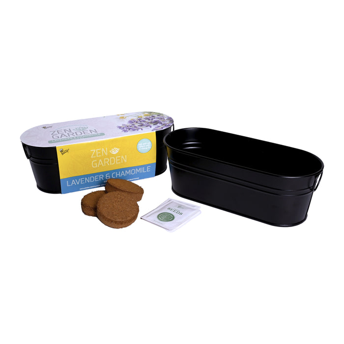 Mindfulness Bundle | Bonsai & Zen Garden Kits