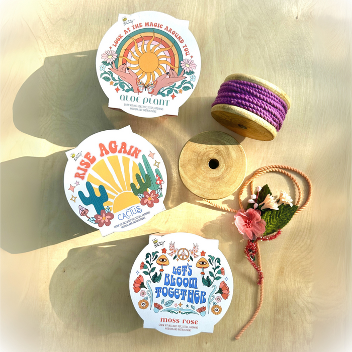 Mini Desert Grow Kit | Cactus, Aloe & Moss Rose (3 Pack)