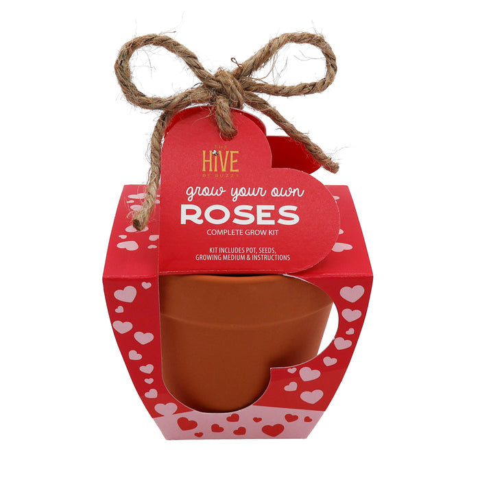 Mini Rose Grow Kit | Terracotta Pots (4 Pack)