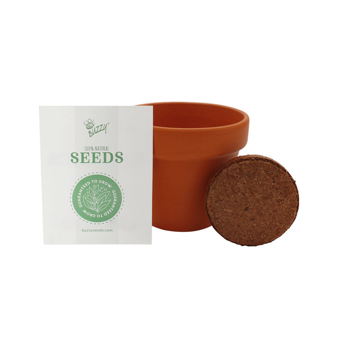 Mini Rose Grow Kit | Terracotta Pots (4 Pack)
