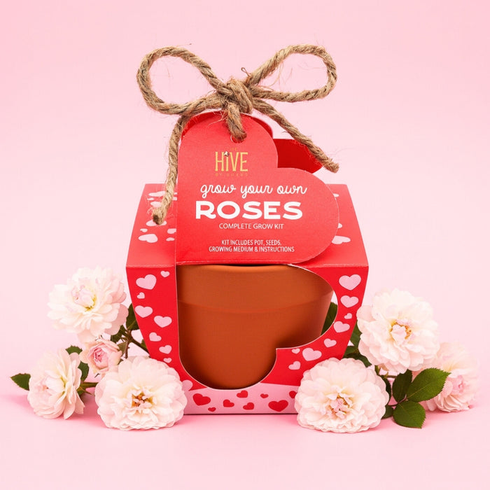 Mini Rose Grow Kit | Terracotta Pots (4 Pack)