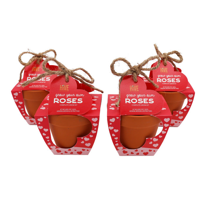 Mini Rose Grow Kit | Terracotta Pots (4 Pack)