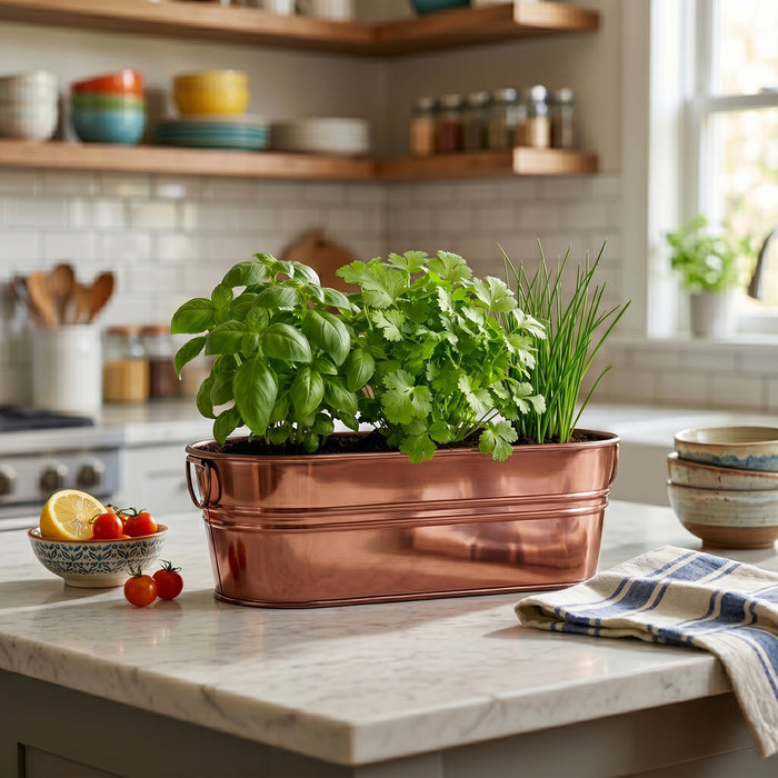 Organic Culinary Herb Grow Kit | Basil, Cilantro & Chives