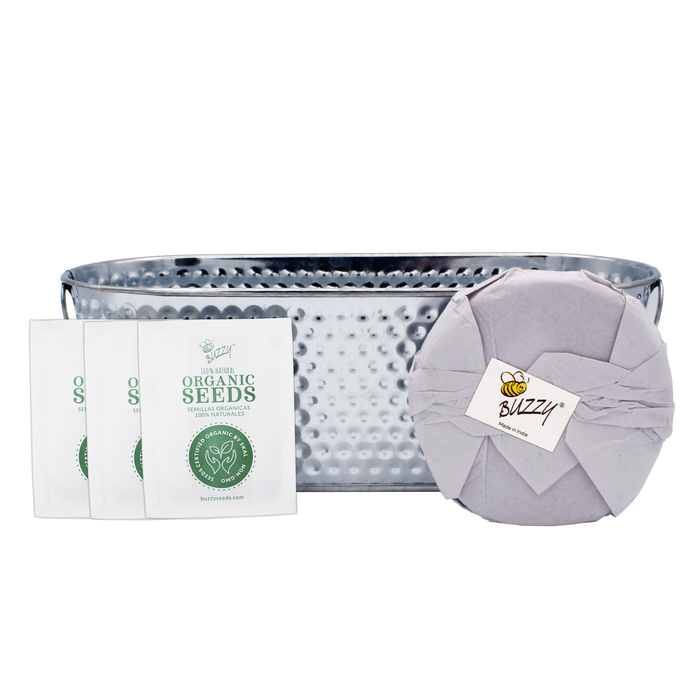 Organic Grilling Herb Grow Kit | Windowsill Planter