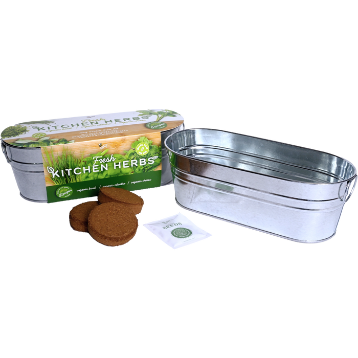 Organic Kitchen Herbs Grow Kit | Basil, Cilantro, & Chives