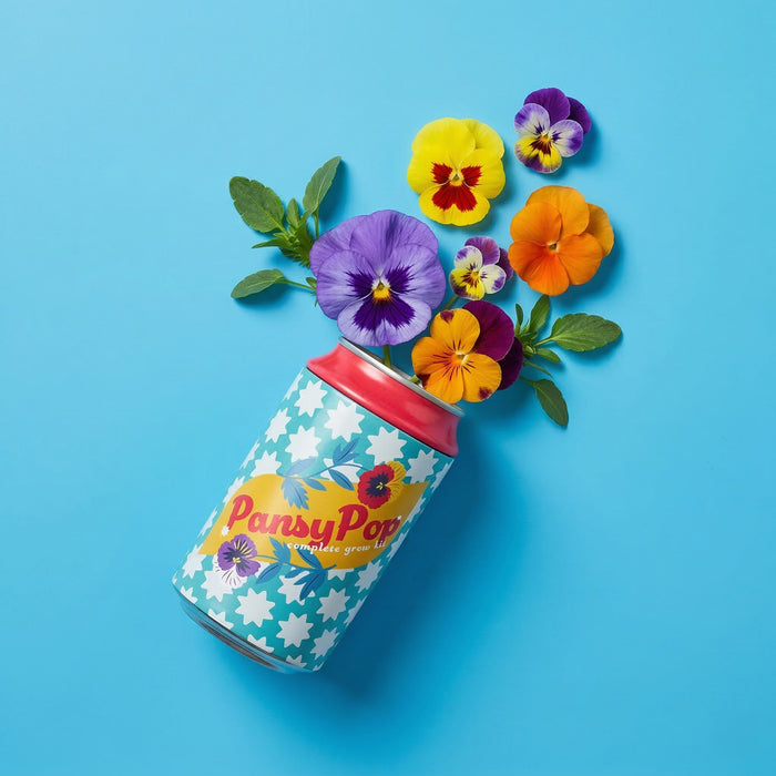Pansy Grow Kit | Soda Can Flower Kit