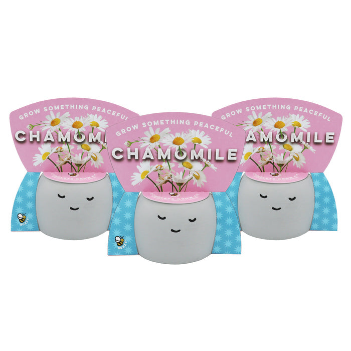 Peaceful Pot Grow Kit | Chamomile (3 Pack)