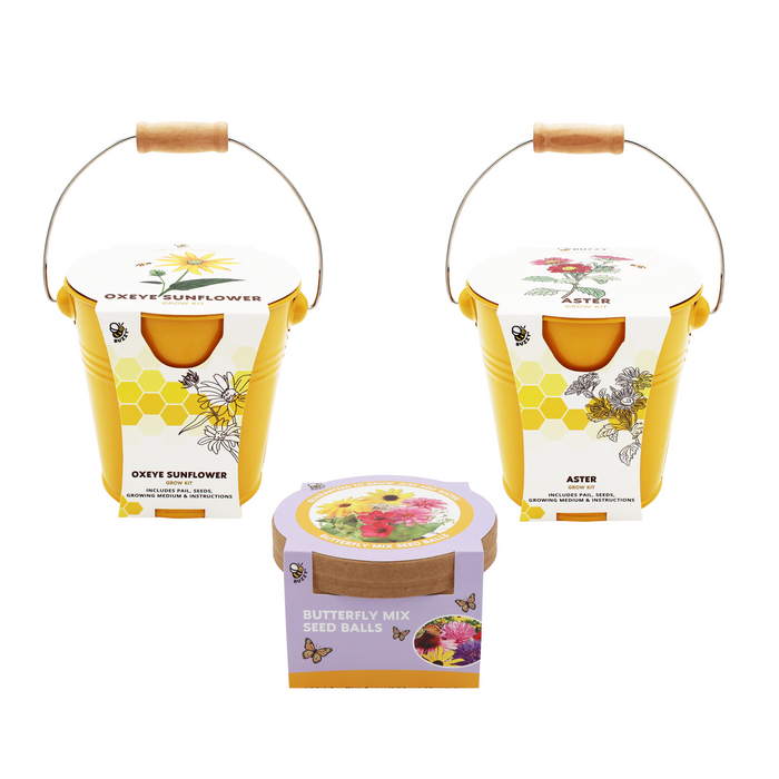 Pollinator Bundle | Wildflower Seed Ball & Flower Pail Kits