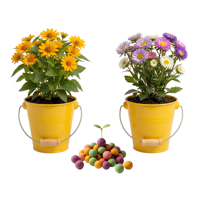 Pollinator Bundle | Wildflower Seed Ball & Flower Pail Kits