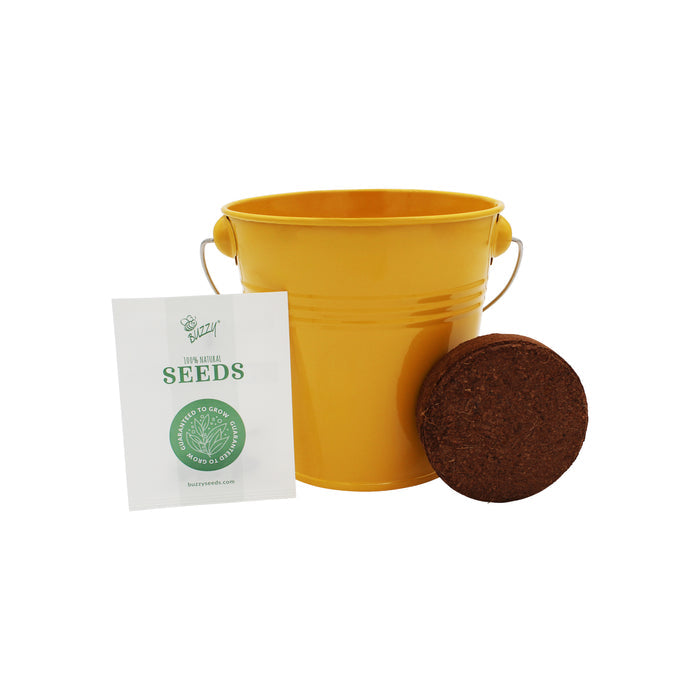 Pollinator Bundle | Wildflower Seed Ball & Flower Pail Kits