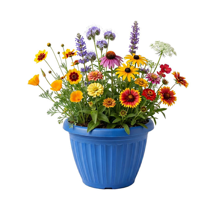 Pollinator Flower Grow Kit | Chaos Garden (Set of 3)