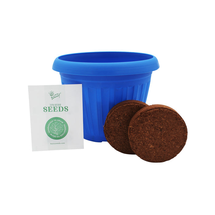 Pollinator Flower Grow Kit | Chaos Garden (Set of 3)