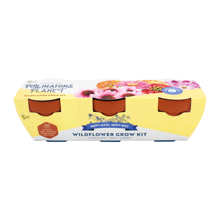Pollinator Flower Grow Kit | Genuine Terracotta Pots (Set of 3)