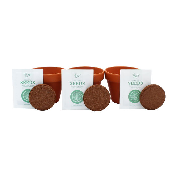 Pollinator Flower Grow Kit | Genuine Terracotta Pots (Set of 3)