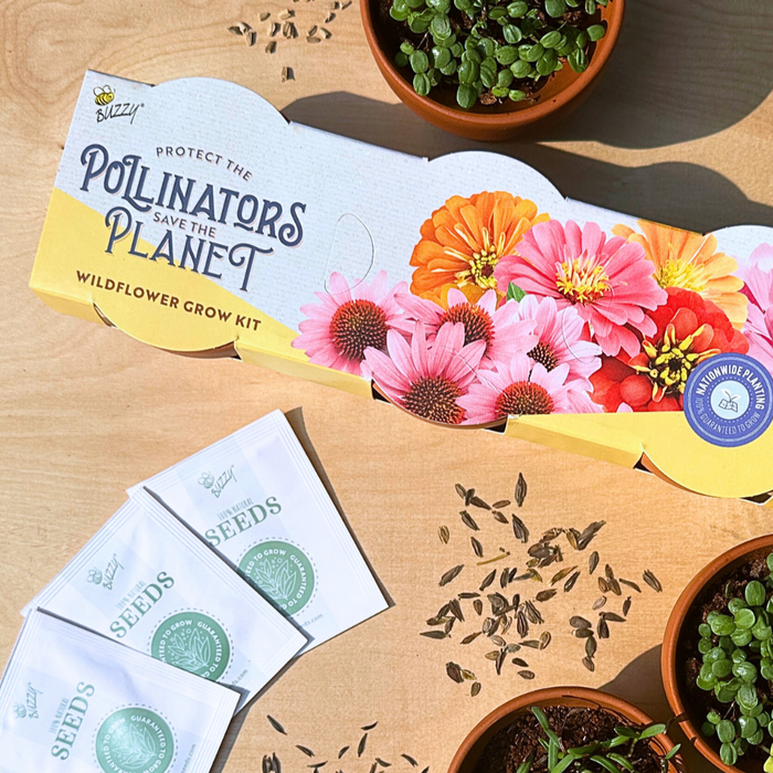 Pollinator Flower Grow Kit | Genuine Terracotta Pots (Set of 3)