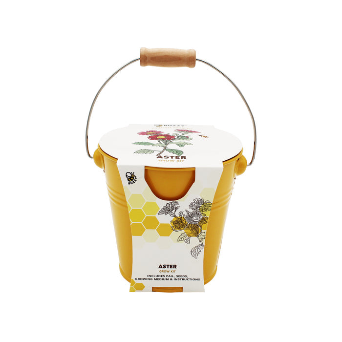 Pollinator Flower Grow Kit | Oxeye Sunflower & Aster (2 Pack)