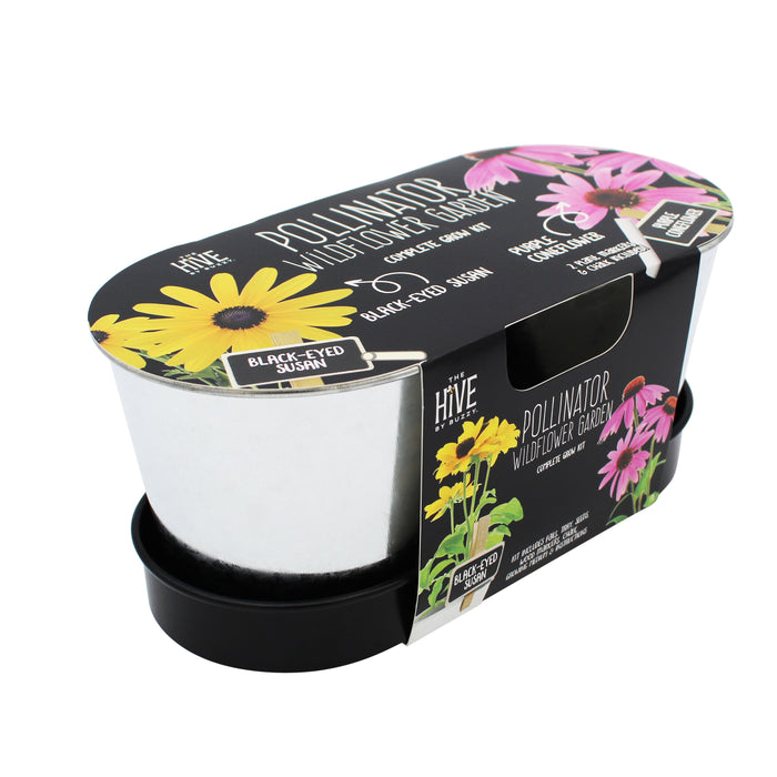 Pollinator Garden Grow Kit | Black-eyed Susan & Coneflower (2 Pots with Tray)
